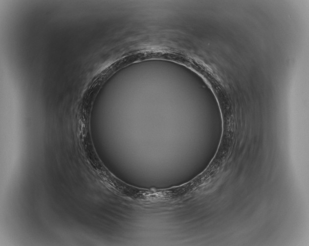 X0000116431303200912151010