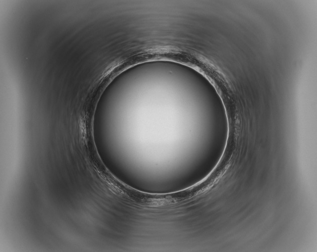 X0000116431305200912151010