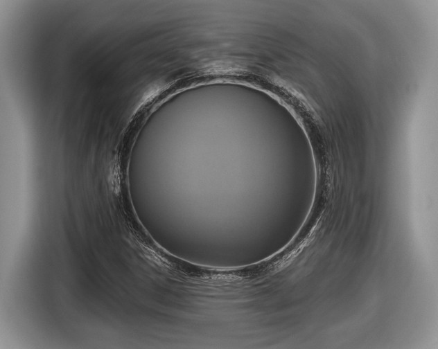 X0000116431306200912151010