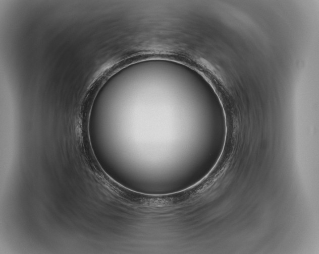 X0000116431307200912151010