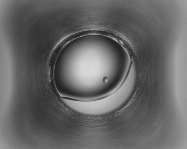 X0000116431310200912151010