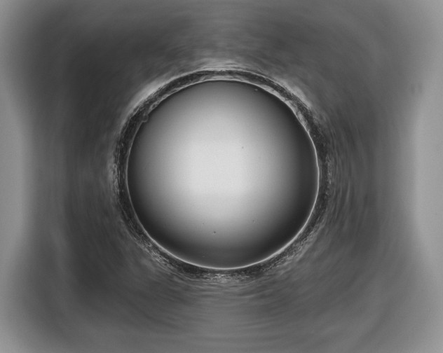 X0000116431311200912151010