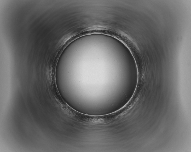 X0000116431313200912151010