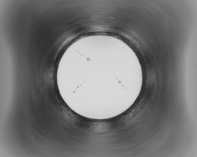 X0000116431314200912151010