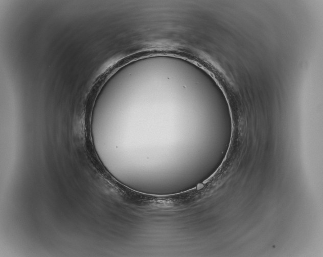 X0000116431315200912151010