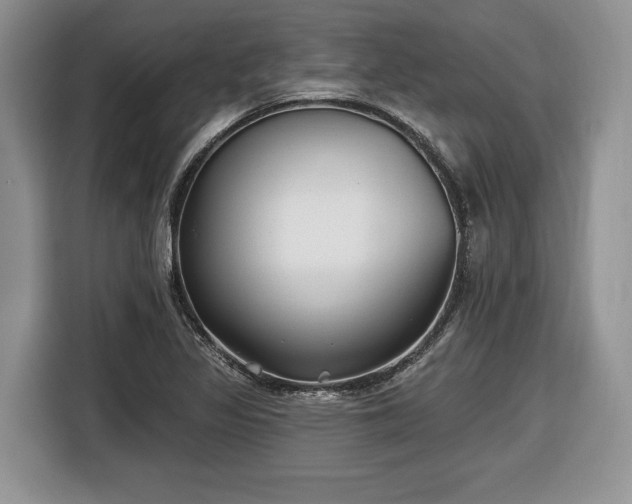 X0000116431317200912151010