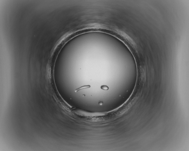 X0000116431318200912151010