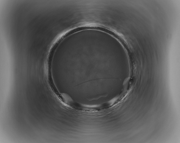 X0000116431319200912151010