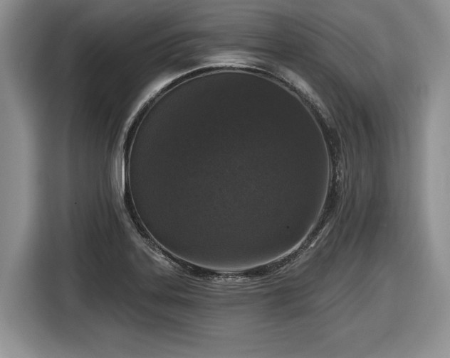 X0000116431323200912151010