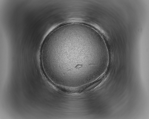 X0000116431325200912151010