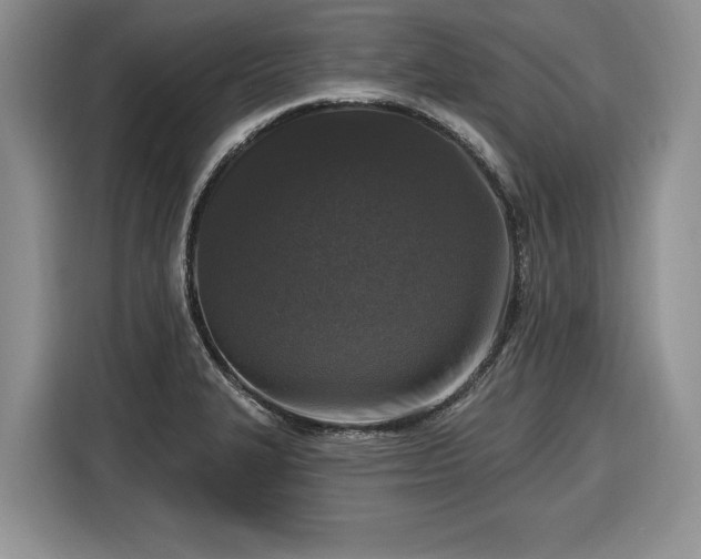 X0000116431327200912151010
