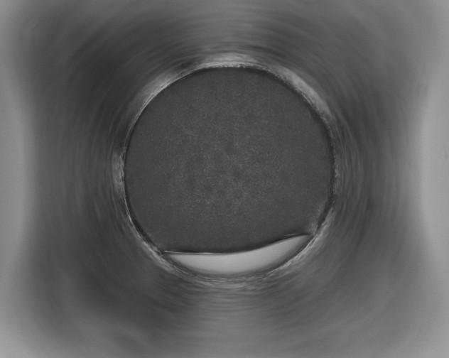 X0000116431329200912151010