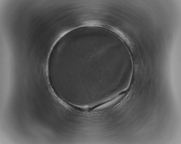 X0000116431331200912151010