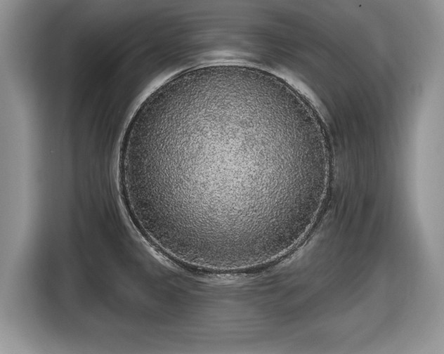 X0000116431333200912151010