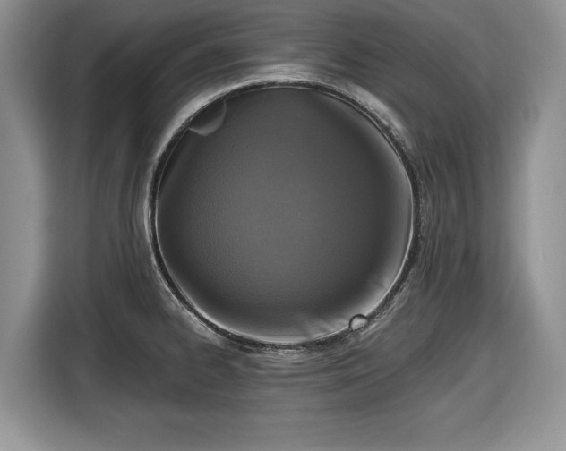 X0000116431334200912151010