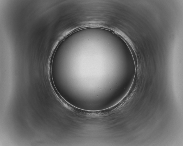 X0000116431341200912151010
