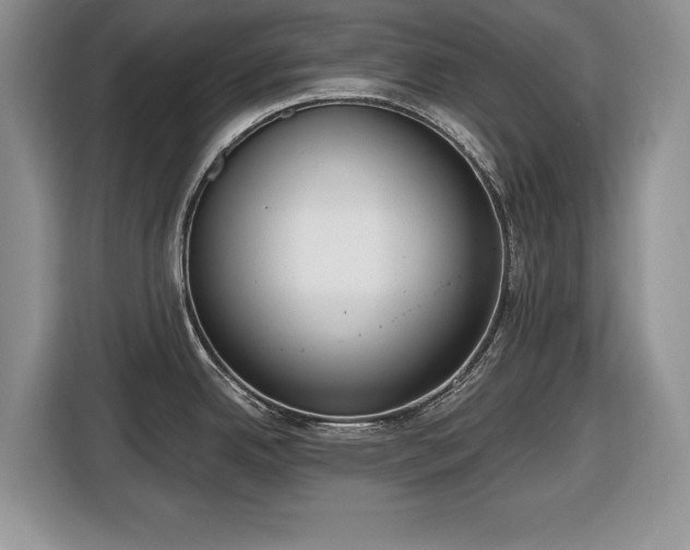 X0000116431342200912151010