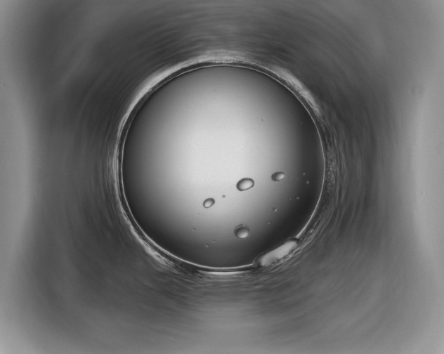 X0000116431343200912151011