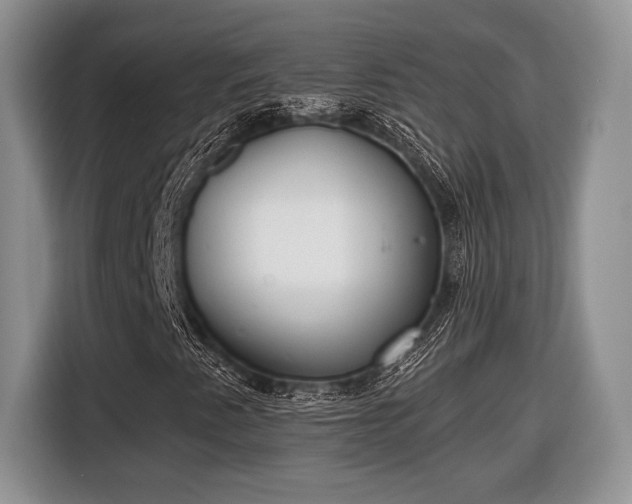 X0000116431345200912151010