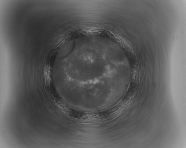 X0000116431346200912151010