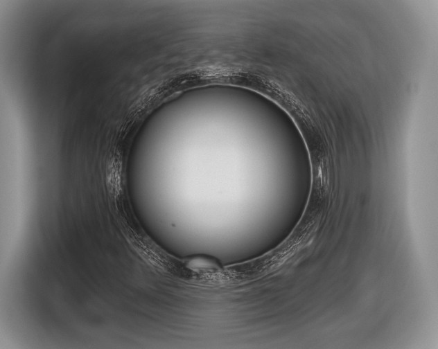 X0000116431348200912151010