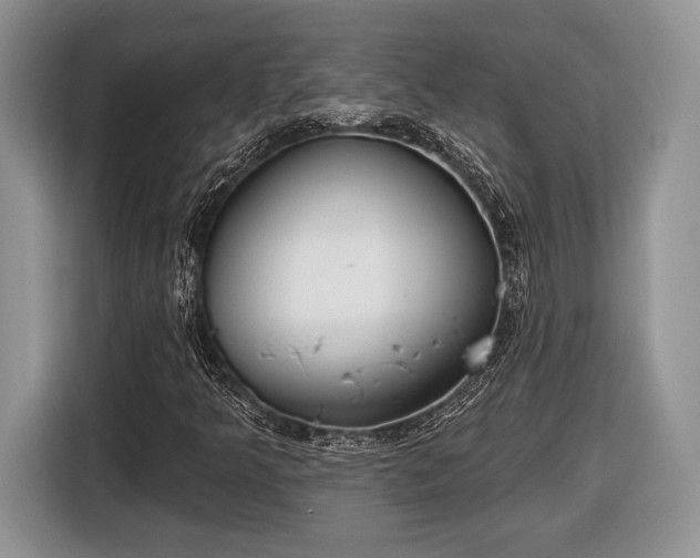 X0000116431349200912151010