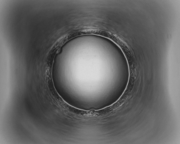 X0000116431351200912151010