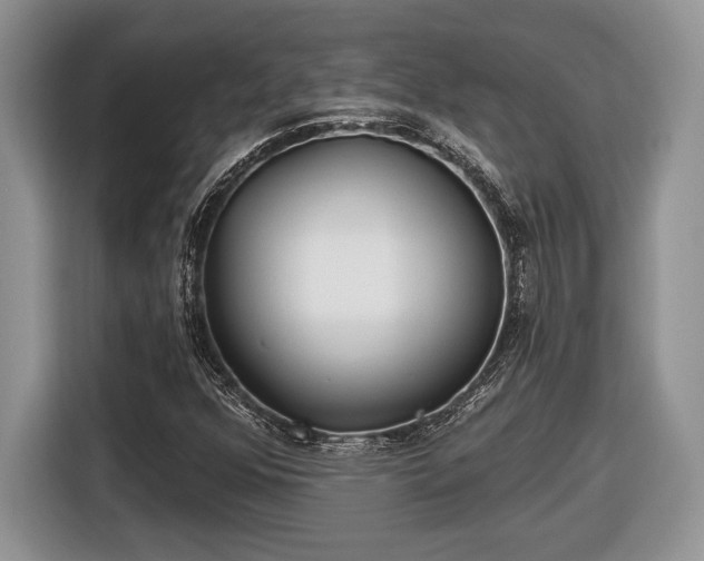 X0000116431352200912151010
