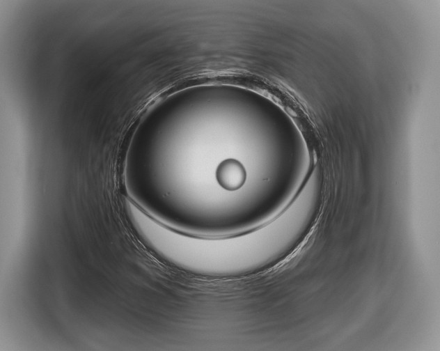 X0000116431353200912151010
