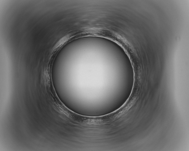 X0000116431354200912151010