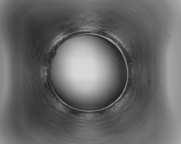 X0000116431355200912151010