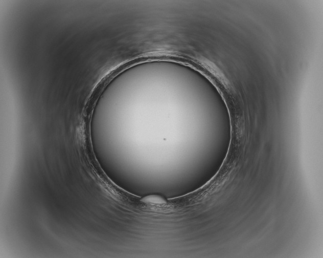 X0000116431356200912151010