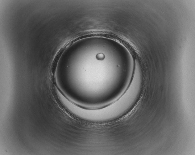 X0000116431357200912151010