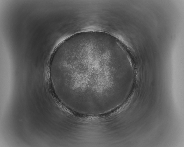 X0000116431358200912151010