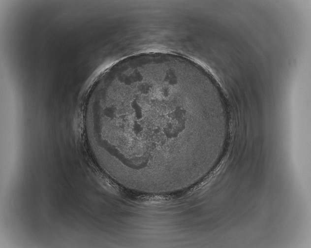 X0000116431359200912151010