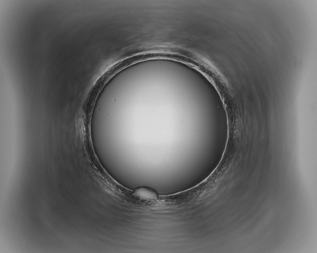 X0000116431360200912151010
