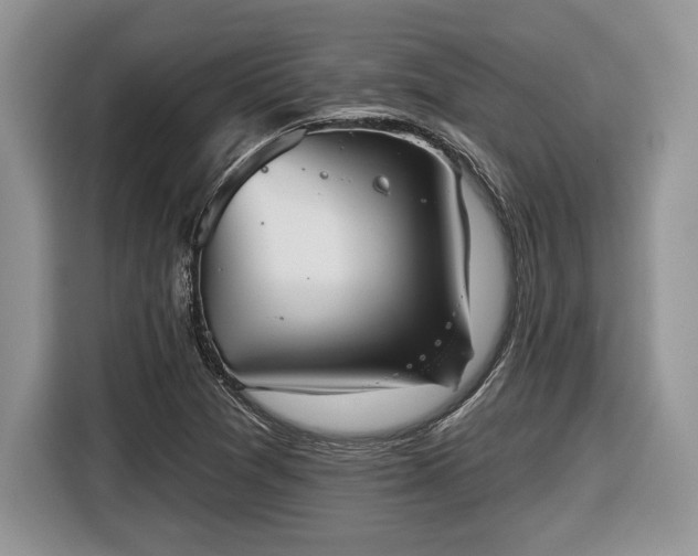 X0000116431361200912151010