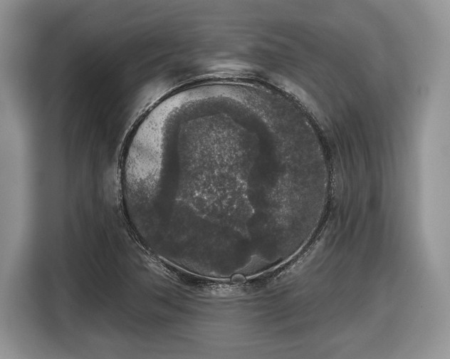 X0000116431362200912151010