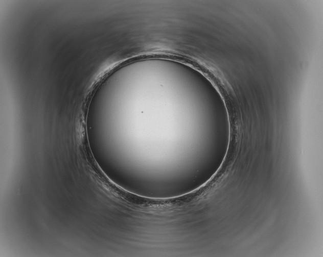 X0000116431363200912151010