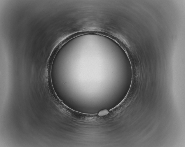 X0000116431364200912151010
