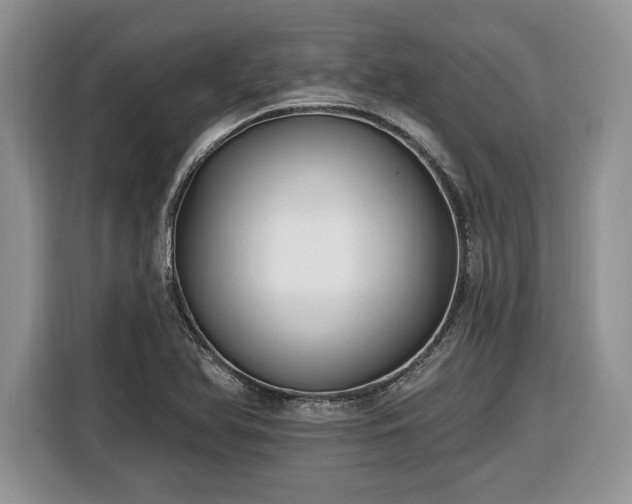 X0000116431366200912151010