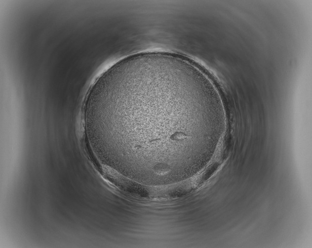 X0000116431367200912151010
