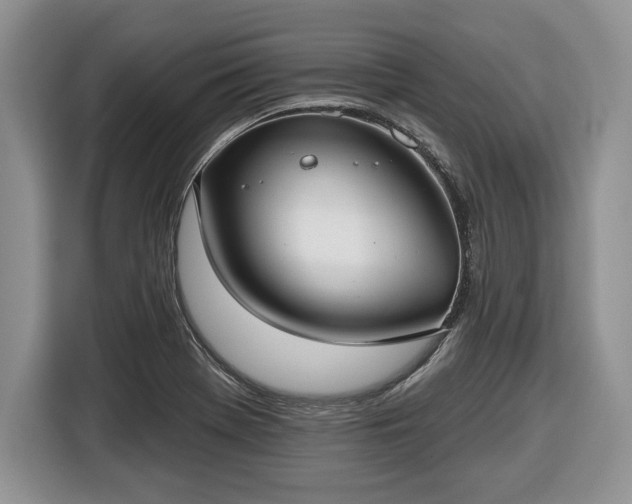X0000116431369200912151010