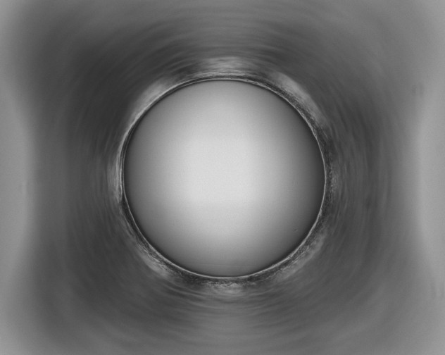 X0000116431370200912151010
