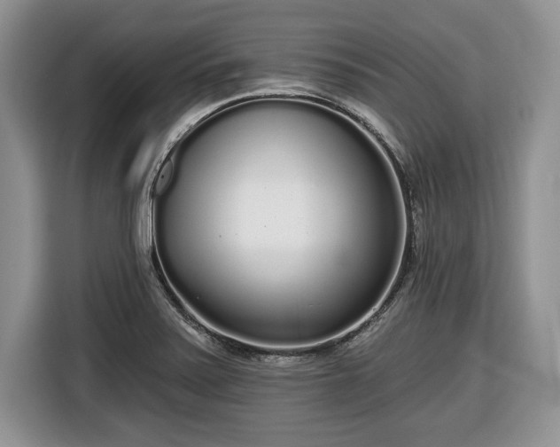 X0000116431371200912151010