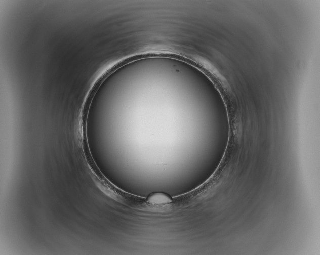 X0000116431372200912151010