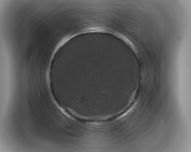 X0000116431373200912151010