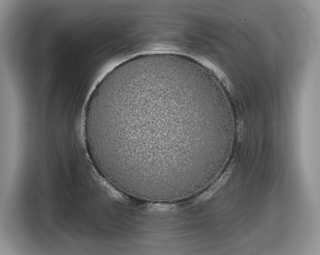 X0000116431374200912151010