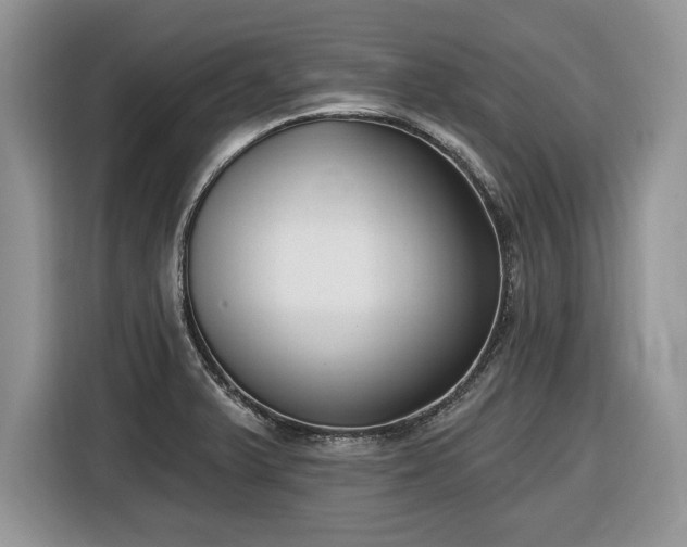 X0000116431375200912151010
