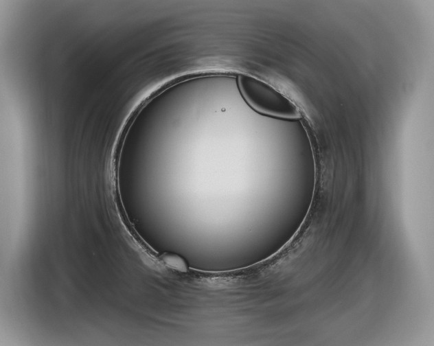 X0000116431380200912151009